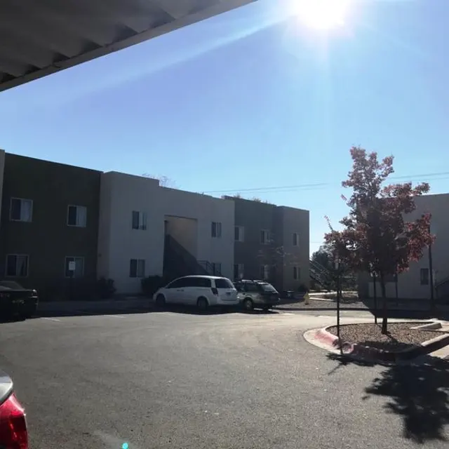 A view of an apartment complex with several buildings under a clear blue sky. Sunlight is shining brightly, and there are parked cars around the area. A small red tree with fall foliage is present in the foreground.