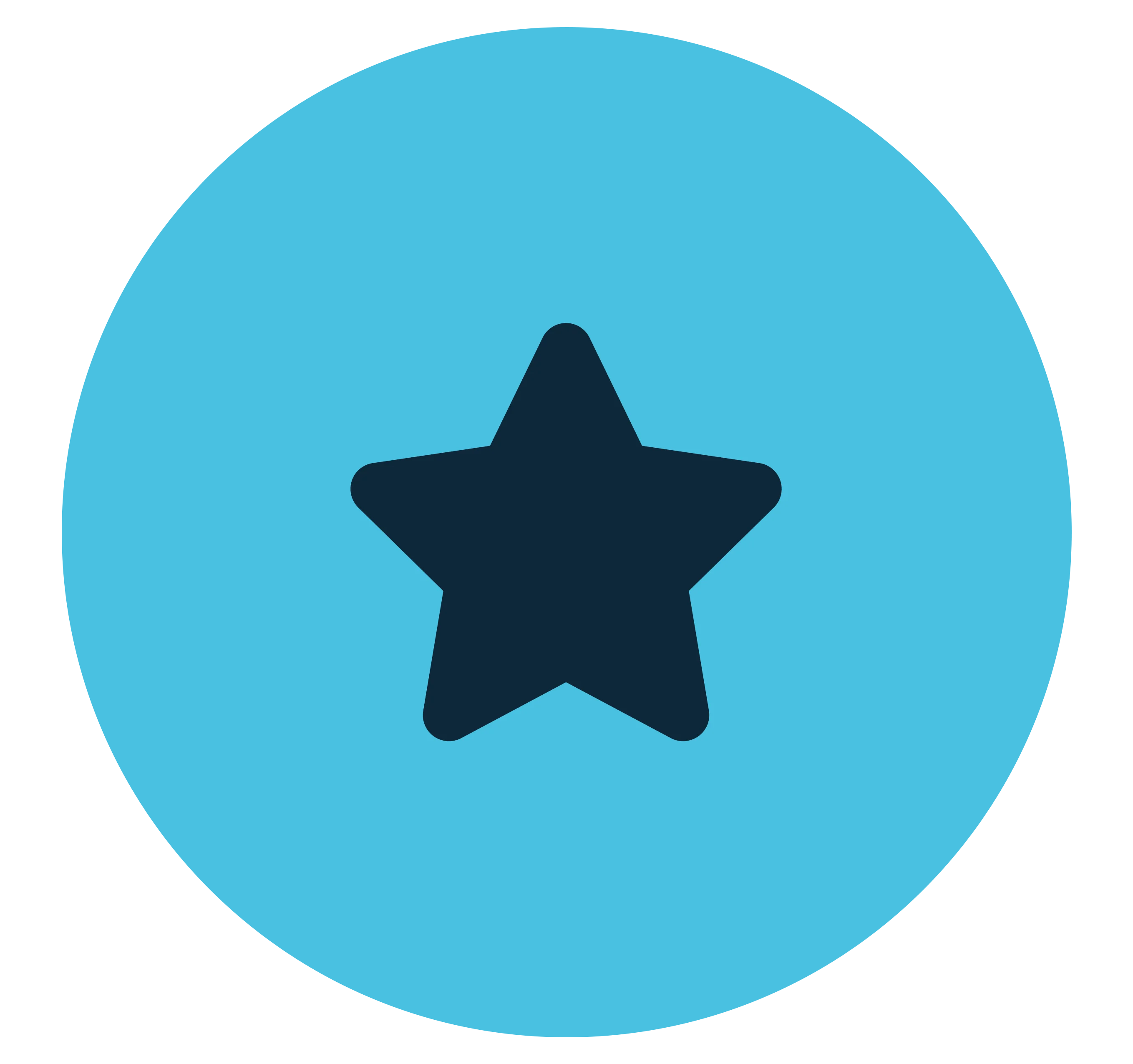 A dark silhouette of a star inside a blue circular background. The star is centered and has a smooth design.