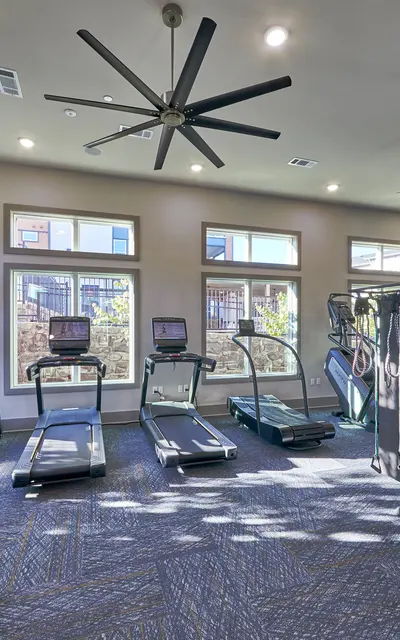A spacious and well-lit gym with various exercise equipment, including treadmills and a multi-gym setup, surrounded by large windows and ceiling fans.