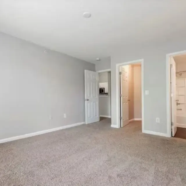 A spacious interior view of a room featuring gray walls and beige carpet. The room has two doorways leading to adjacent areas and a small closet visible. Natural light illuminates the space, providing a bright atmosphere.
