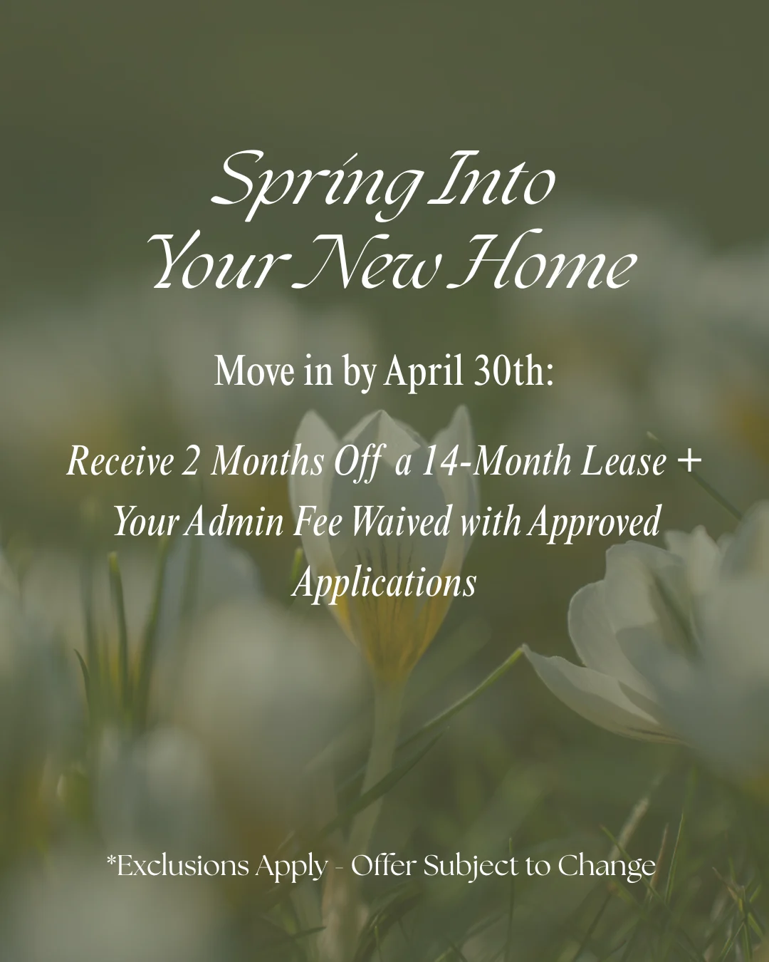 Spring Into Your New Home Promotion Promotional poster with a floral background announcing a leasing offer.