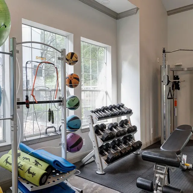 A well-equipped gym area featuring exercise balls, weights, and exercise mats, with large windows allowing natural light.