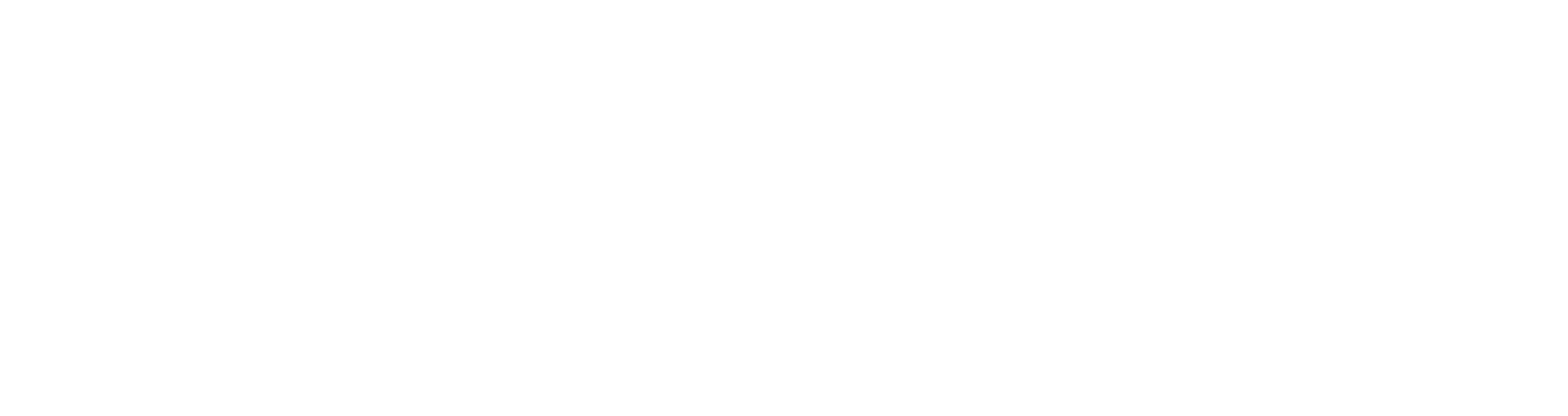 Stylized text reading 'Bella Victoria' in elegant script font on a dark background.