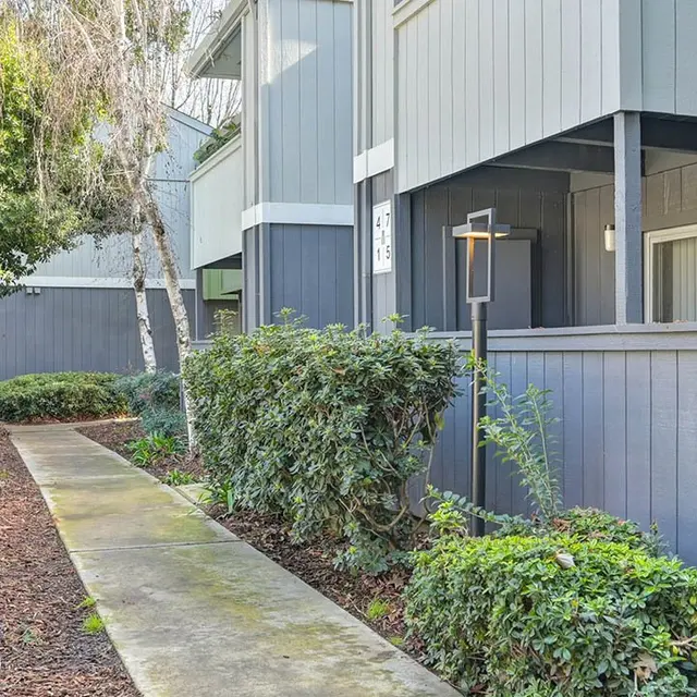 A path lined with shrubs and greenery leading to a modern apartment building with gray siding.