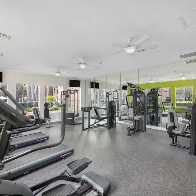 A spacious gym equipped with various exercise machines, including treadmills and weightlifting equipment, set against a modern design with green walls and large windows.
