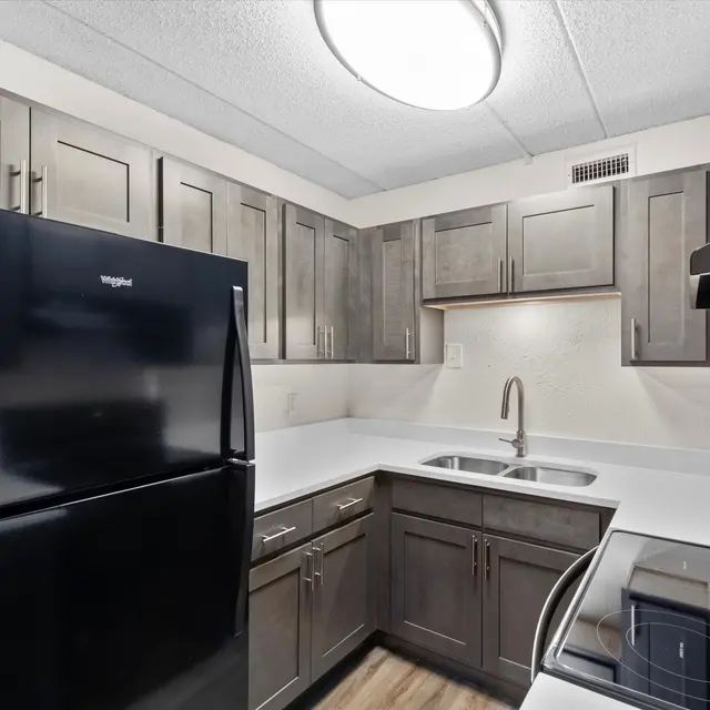 Contemporary kitchen featuring dark cabinetry, black refrigerator, and stainless steel appliances.