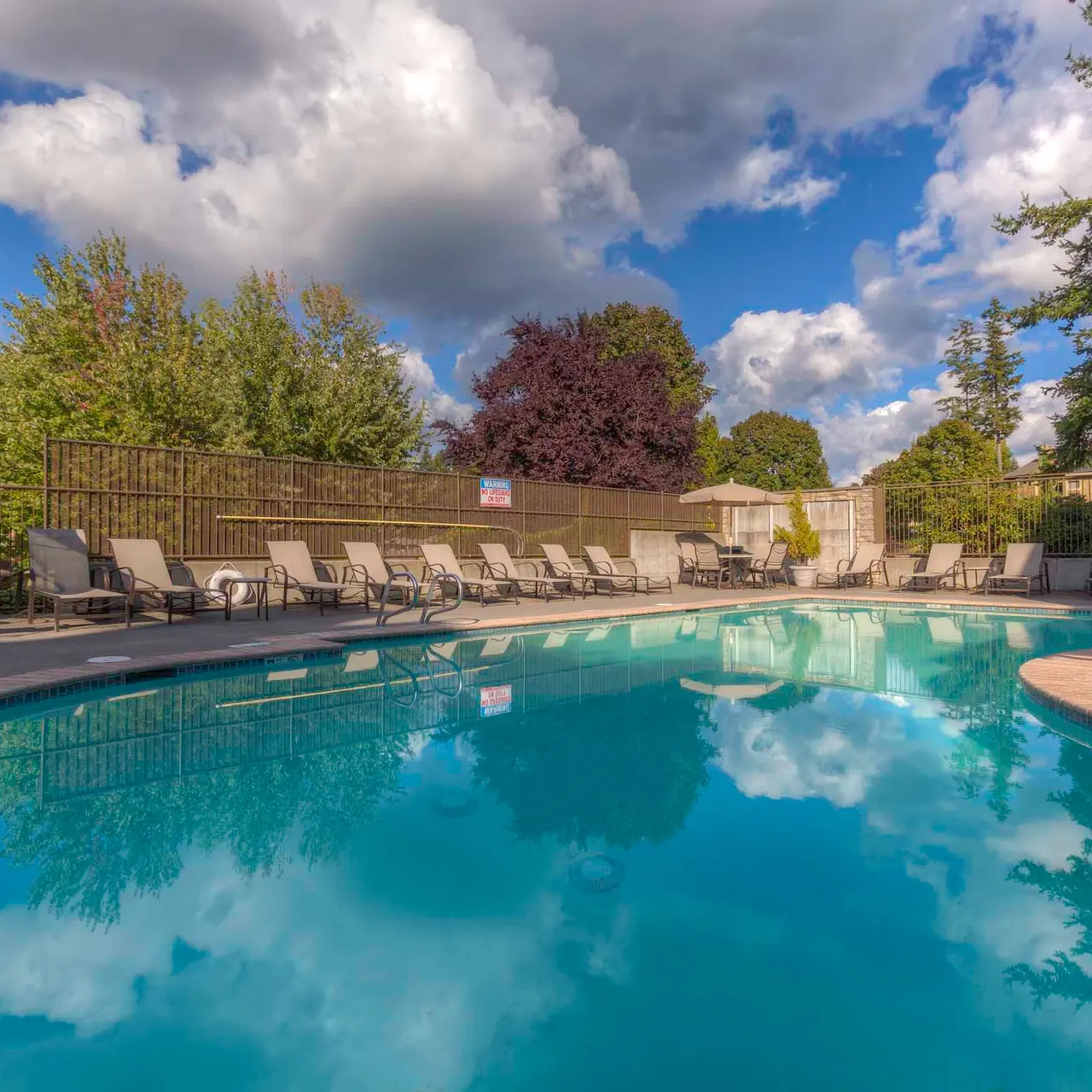 A serene outdoor pool area with loungers beside it, surrounded by lush trees and a clear blue sky with clouds.