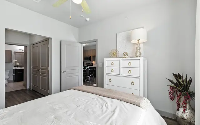Modern bedroom featuring a white dresser, lamp, ceiling fan, and plants, with doorways leading to a bathroom and living area.