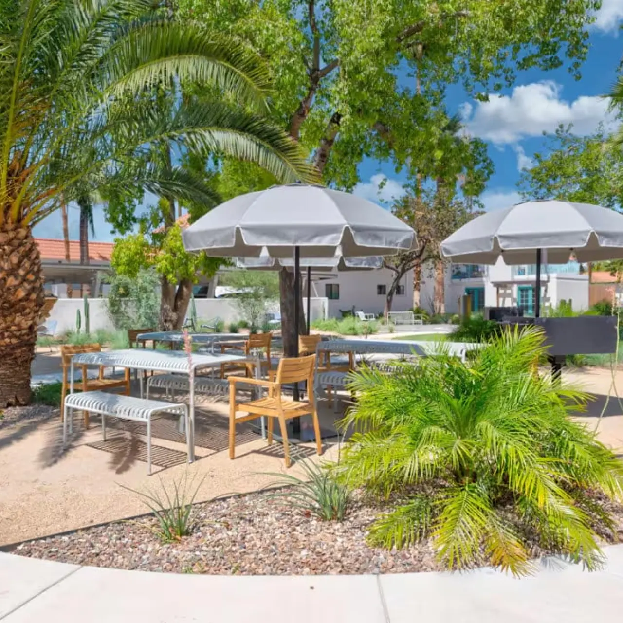 Beautiful Outdoor Seating Area A well-lit outdoor seating area with palm trees, two large umbrellas, and a variety of greenery.