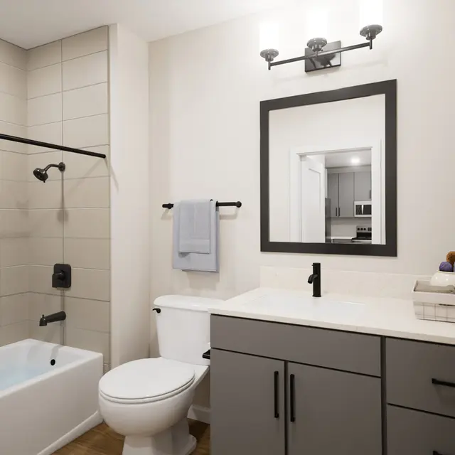 Modern bathroom featuring a shower-tub combo, toilet, and sleek vanity with a mirror and minimalist decor.