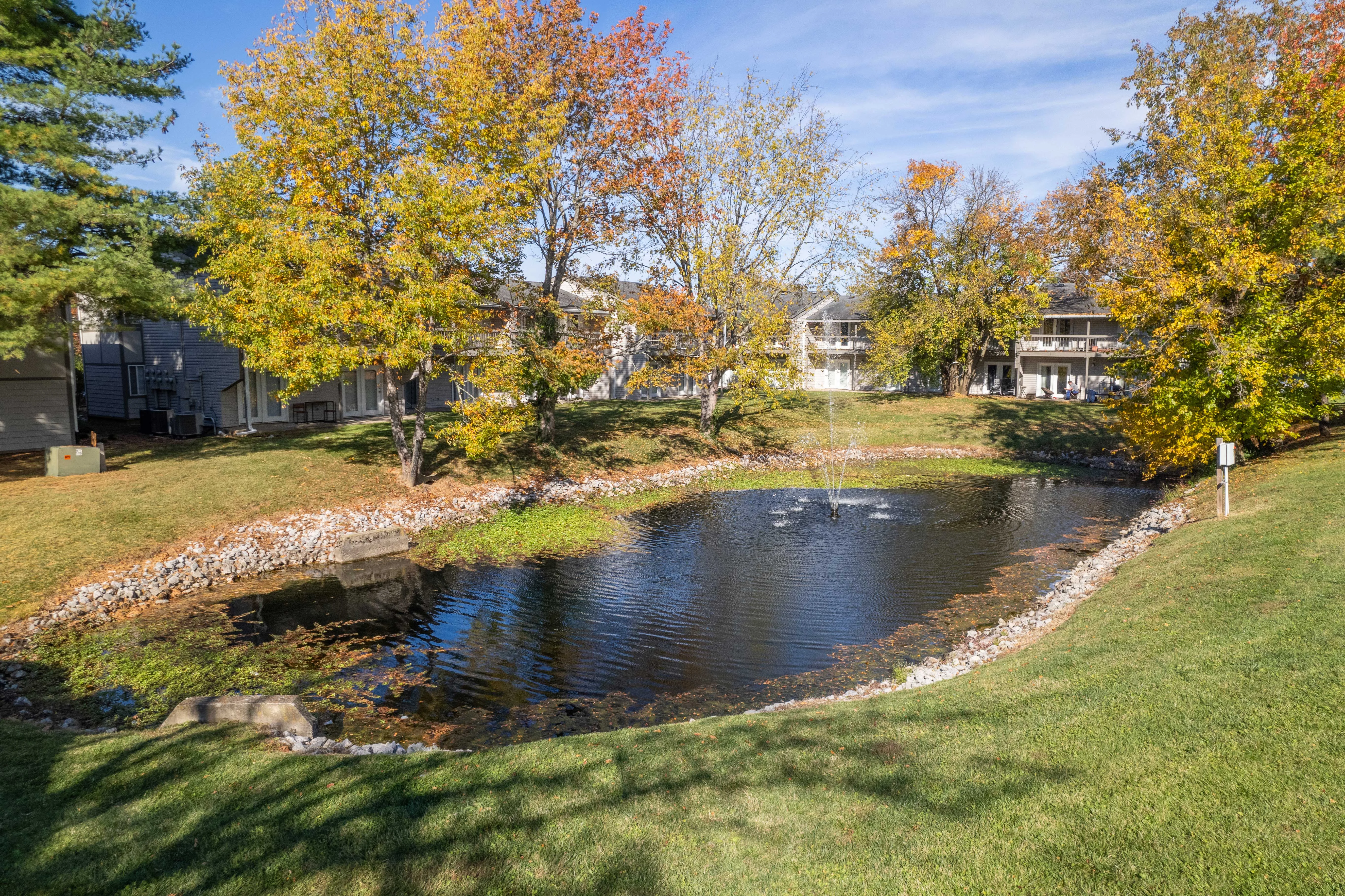 Tranquil Autumn Pond A tranquil pond surrounded by trees displaying autumn foliage and a few residential buildings in the background.