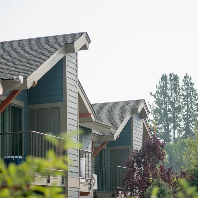 Rooftops Surrounded by Nature Close-up view of rooftops of residential buildings with a background of trees and greenery