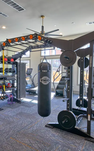 An interior view of a modern gym featuring various fitness equipment including weightlifting machines, a punching bag, and exercise balls. Natural light comes in through large windows, enhancing the spacious feel of the room.
