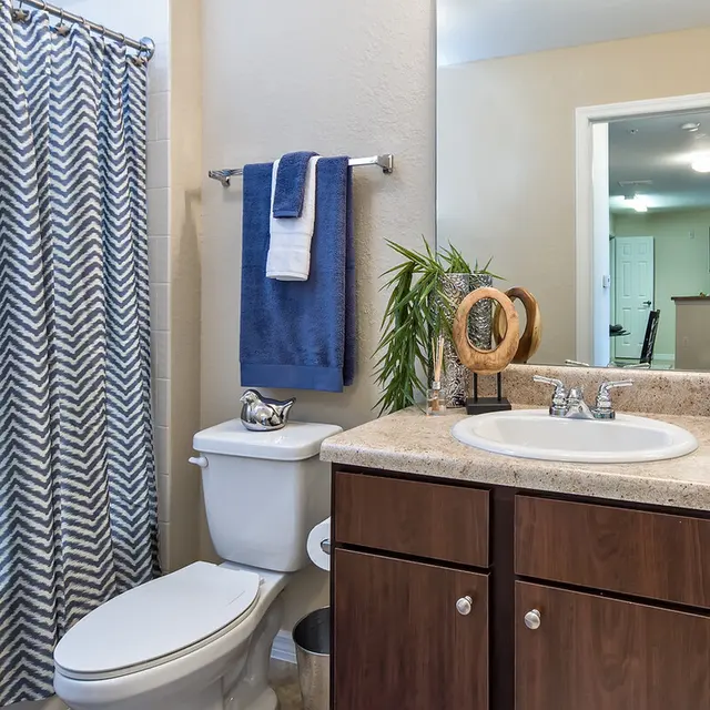 A modern bathroom featuring a shower curtain with a zigzag pattern, a white toilet, a sink with a countertop, and decorative items like a plant and towels.