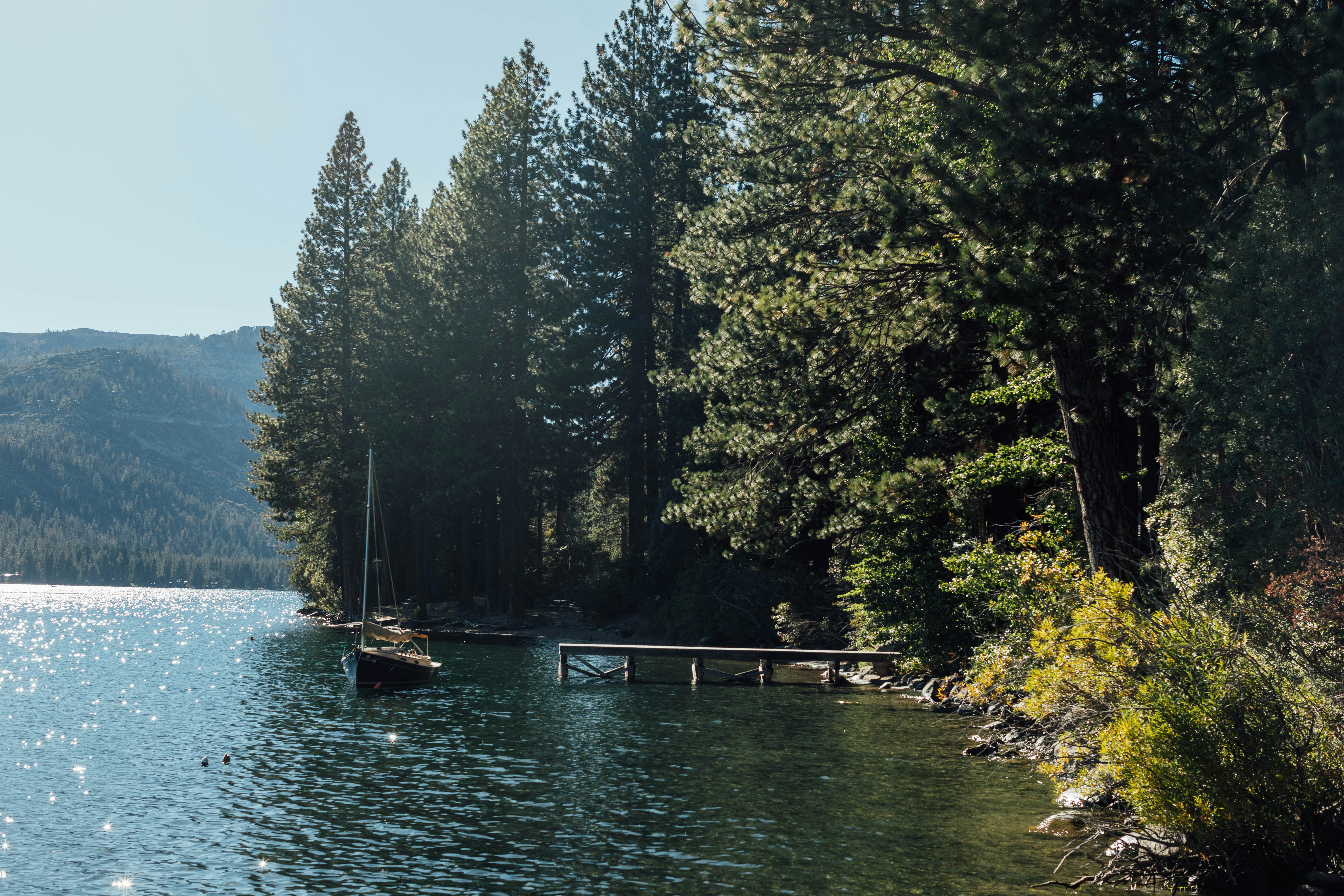 A tranquil scene of a lake surrounded by tall pine trees, with a dock and a sailboat moored nearby.