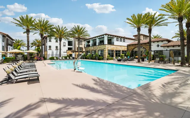 A sunny residential pool area featuring a large swimming pool surrounded by palm trees and lounge chairs. In the background, there are modern buildings with a Mediterranean architectural style and clear blue skies.
