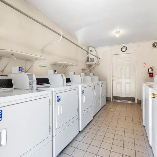 A clean, well-lit laundry room with several washing machines and dryers lined up against the wall, a door leading outside, and a clock on the wall.