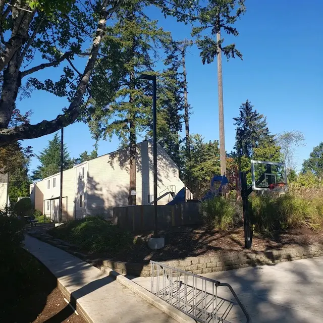 A view of a park area featuring a bike rack, trees, and two buildings in the background under a clear blue sky.
