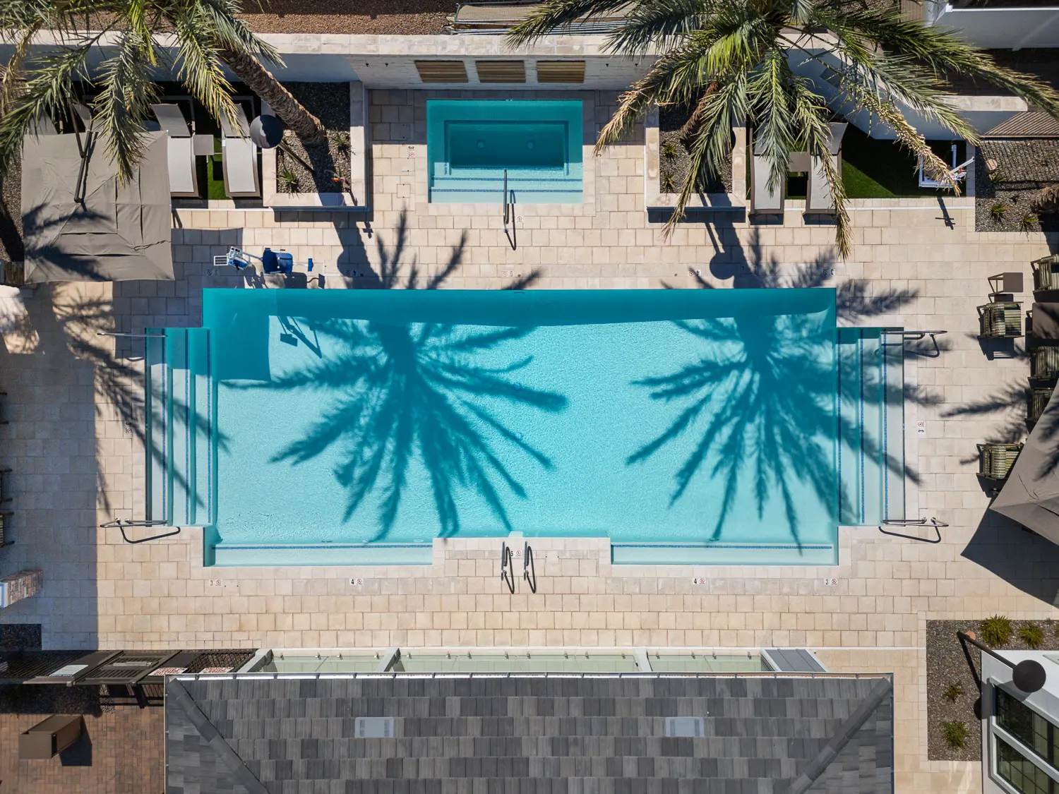 Pool, Aerial view, Palm trees