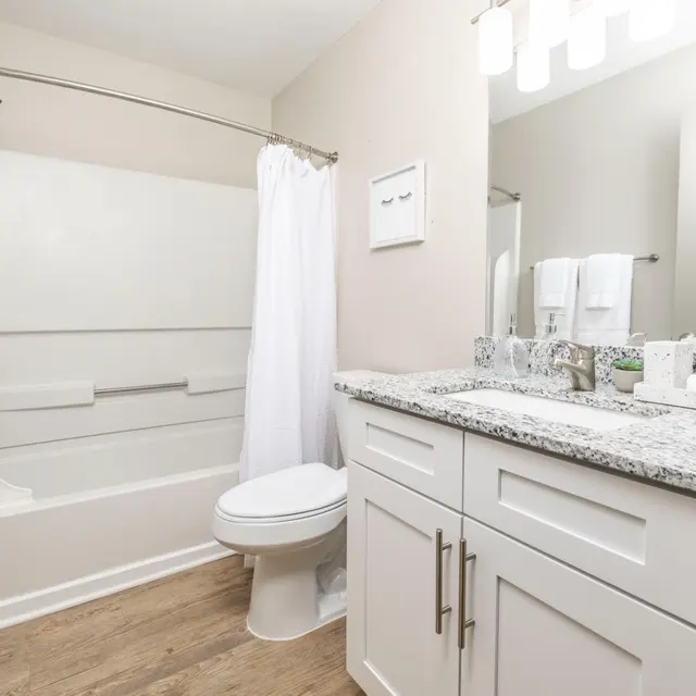 Modern bathroom featuring a white tub, toilet, and granite countertop with double sinks, complemented by light wood flooring.